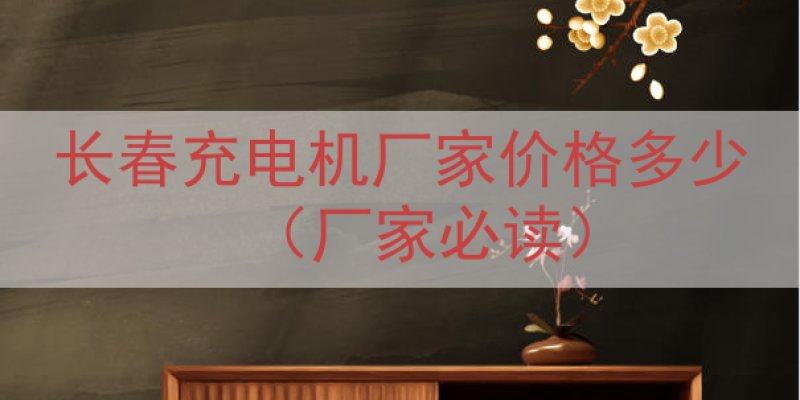 长春充电机厂家价格多少（厂家必读）
